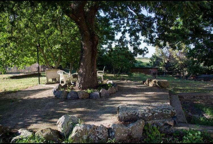 Favoloso Appartamento In Villa Monterosi Dış mekan fotoğraf