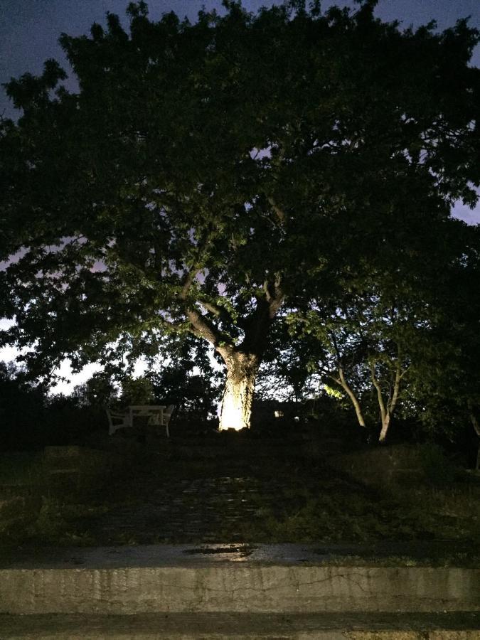 Favoloso Appartamento In Villa Monterosi Dış mekan fotoğraf