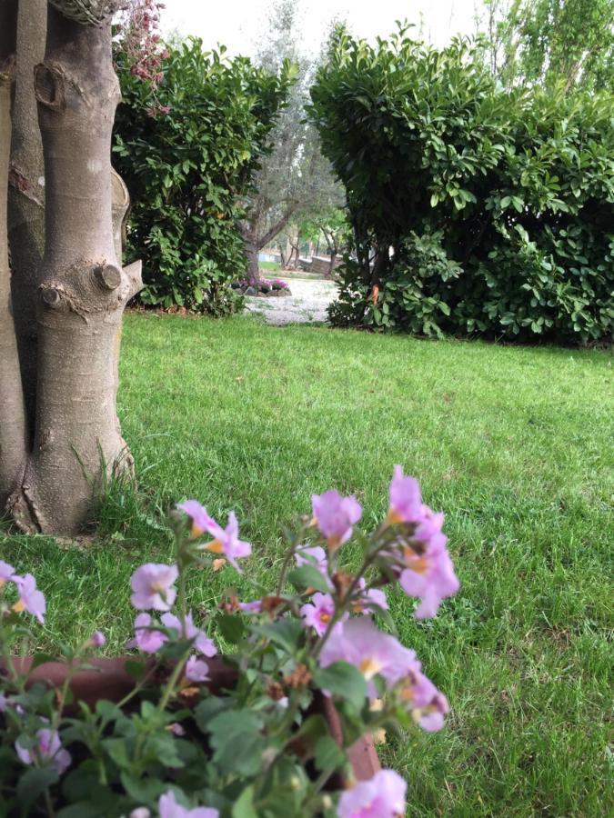Favoloso Appartamento In Villa Monterosi Dış mekan fotoğraf