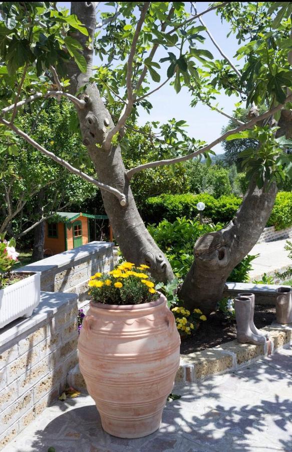 Favoloso Appartamento In Villa Monterosi Dış mekan fotoğraf